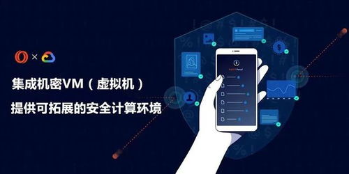 加密世界的數據綠洲 Oasis Network能否顛覆聯盟鏈的數據處理與存儲格局？